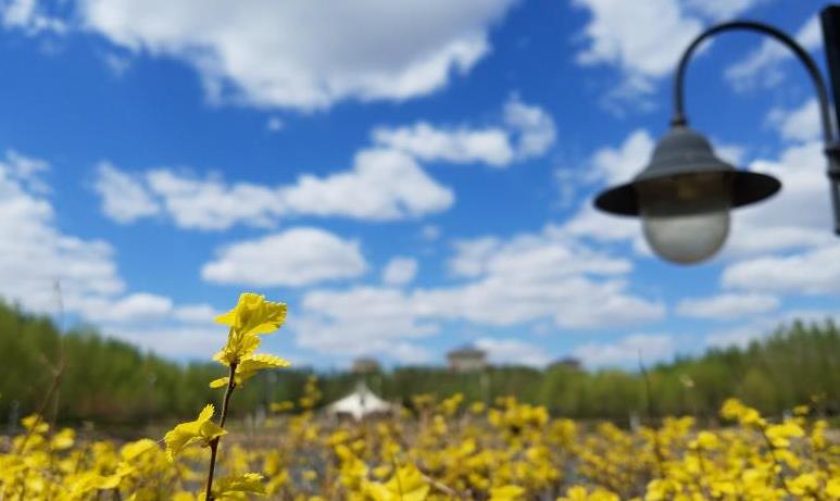 吉林大学学科建设再创佳绩